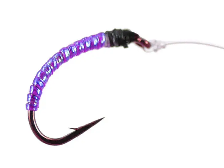Wonder Chiro Pearl Purple