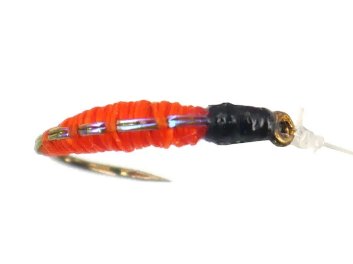 Pearl Back Chiro Orange
