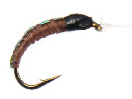 Pearl Back Chiro Brown