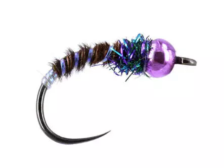 Ales Brown Diver TG BL White Pearl