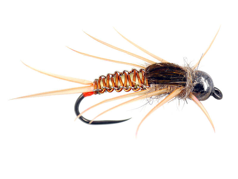 Mouche sempe nymphe stonefly marron - par 3