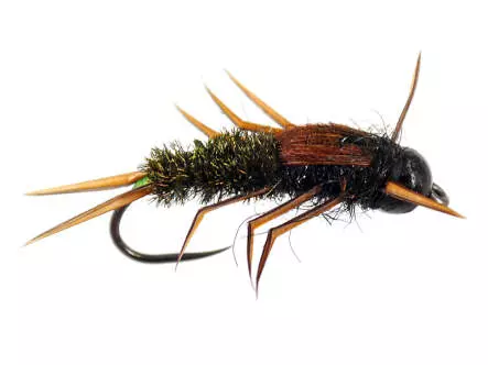 Black Peacock Elite Stonefly Nymph TG BL