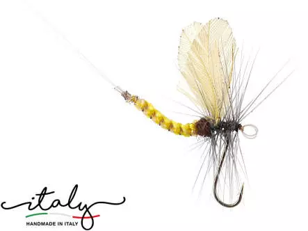 Ephemera Danica - 18 mm