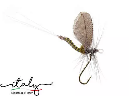Baetis Rhodani - 12 mm