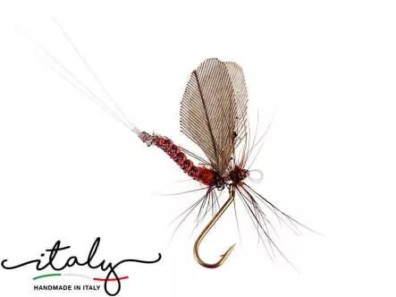 Serratella Ignita - 8 mm