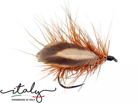 Ryacophila