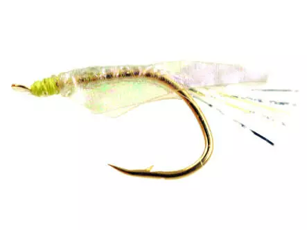Gambe Perche SILI SKIN UV