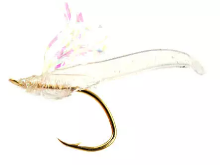 Gambe Perche PERCH WOGGLY TAIL