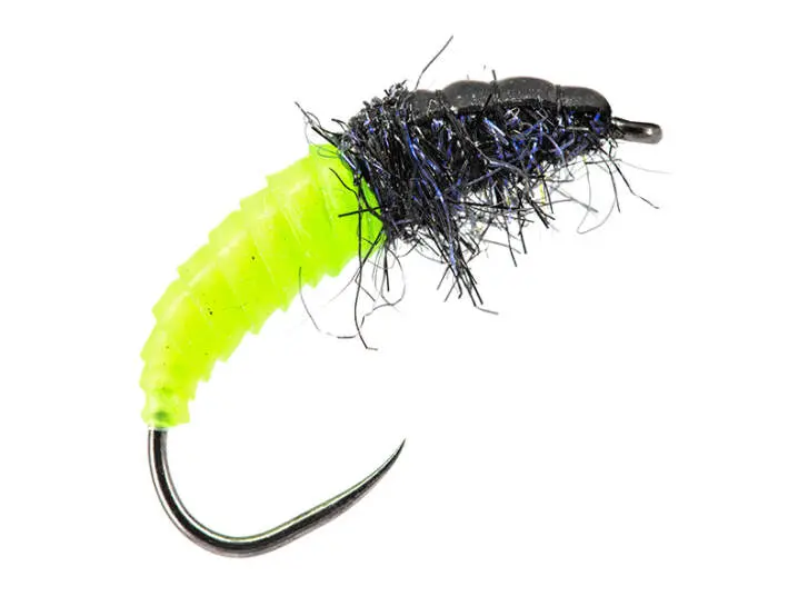 Fluo Chart Giant Wonder Larva BL 6