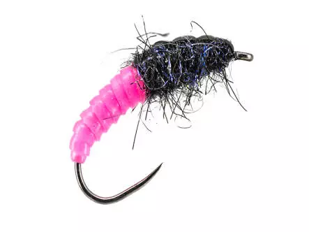 Fluo Pink Giant Wonder Larva BL
