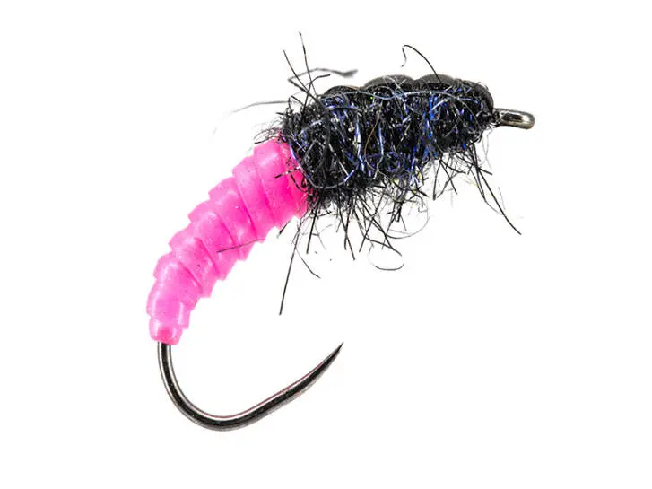 Fluo Pink Giant Wonder Larva BL 6