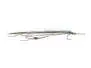 Needlefish Reinterpretation 2