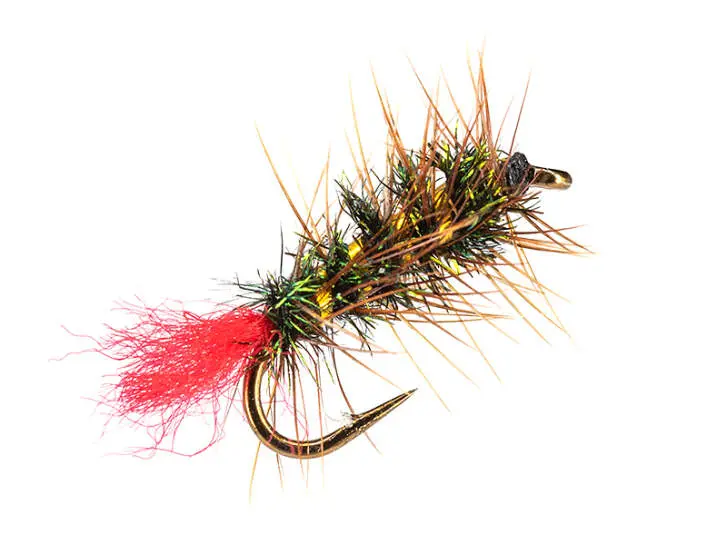 Grayling Witch