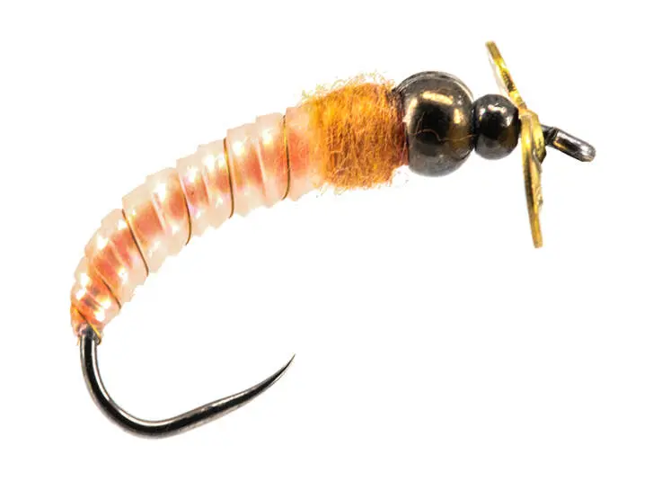 X-True Roto Maggot Orange 4