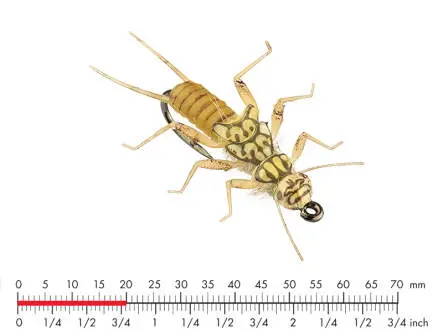 Tungsten Stonefly Nymph 3 Gold