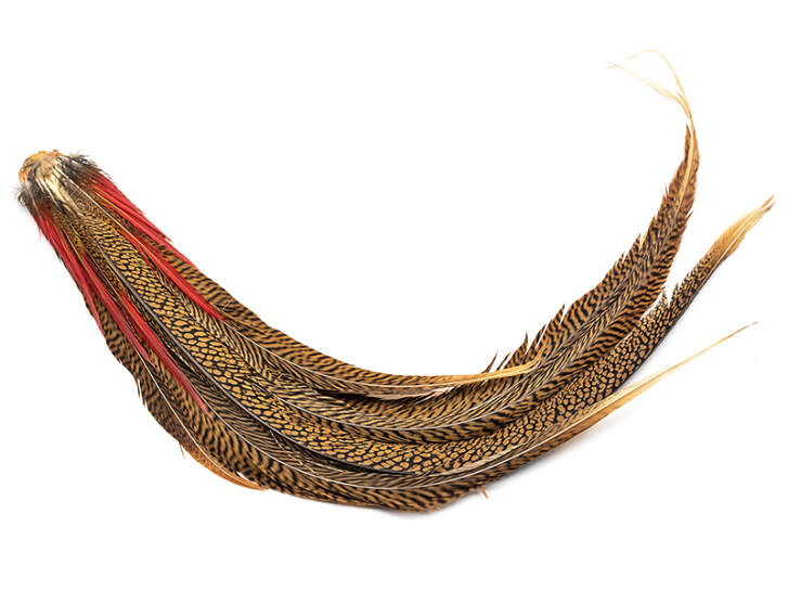 Plumes de Faisan JMC pour Ailes de Sedges et Peutes - La Fine Mouche