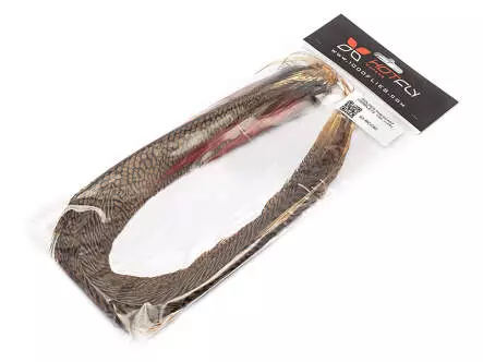 QUEUE DE FAISAN DORÉ COMPLÈTE hotfly