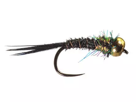 Tiny Black Pheasant Nymph Brass Bead BL