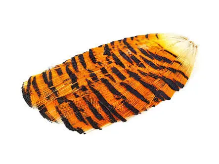 FAISAN DORÉ PREMIUM COLLAR hotfly