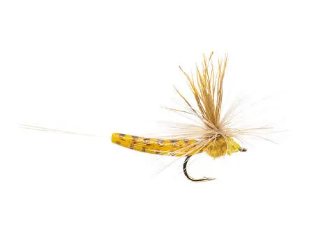 Elk Wing Mayfly Yellow