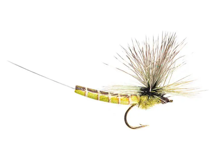 Elk Wing Green Drake Eastern