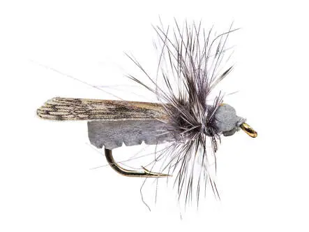 Grey Caddis CDC
