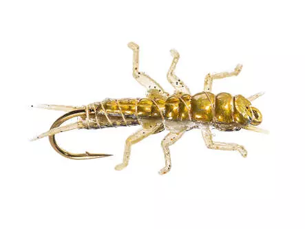 Stonefly Jig Olive