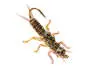 Stonefly Jig Brown 6