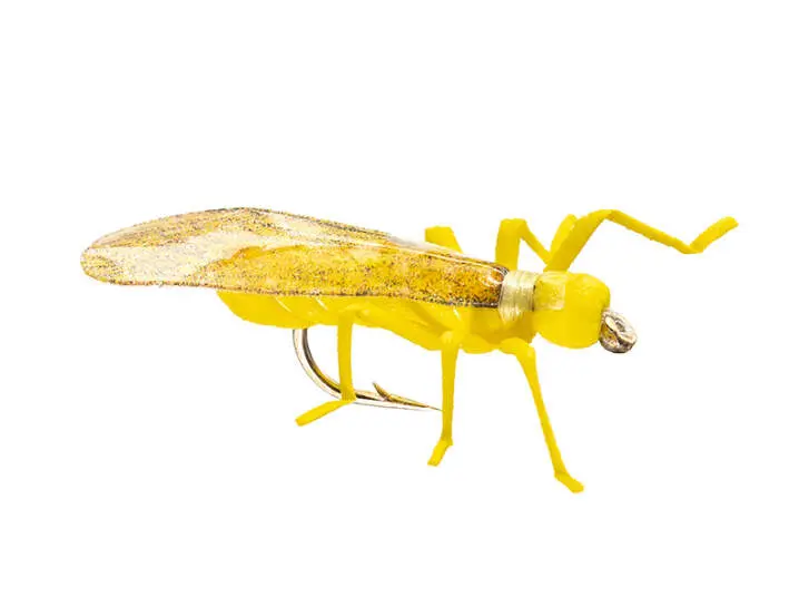 X-True Stone Fly Yellow