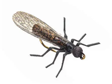 X-True Stone Fly little black