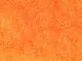 ICE DUBBING made in italy V2 hotfly - 1 g - orange