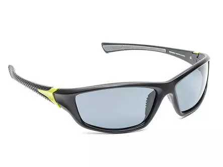 Lunettes polarisées DARTFISH V2 solano