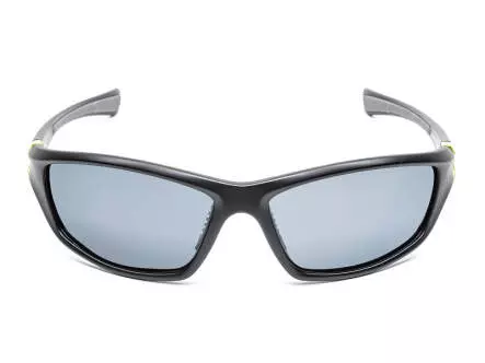 Lunettes polarisées DARTFISH V2 solano