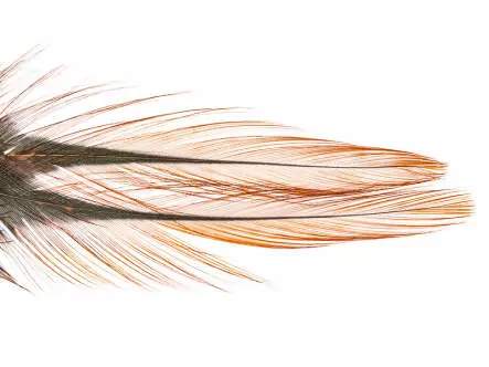 PLUMES COQ DE LEÒN INDIO grade 2 hotfly - 10 pz.