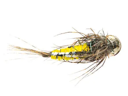 Ales Trout Star Yellow TG BL