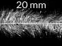 CCS CACTUS UV CHENILLE hotfly - 200 cm