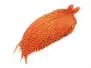 COU DE COQ GRIZZLY PRO TYER hotfly