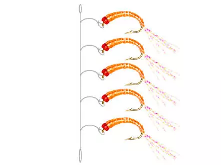 Gambe Alose feinte FLASHABOU SALMON ORANGE