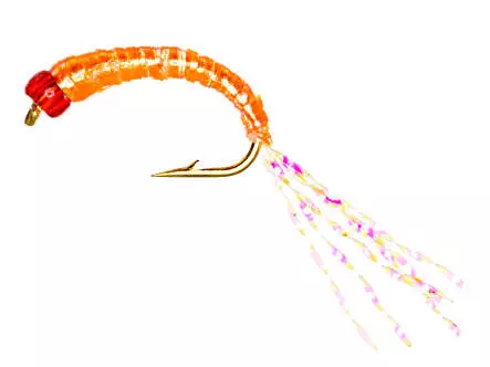Gambe Alose feinte FLASHABOU SALMON ORANGE