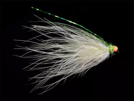 Morgans Bracc BH Peacock Pearl BL