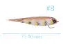 Weighted HP Minnow Streamer Baitfish V2 BL 8