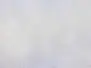 ICELANDIC SHEEP PLUS DUBBING made in italy hotfly - 1 g -...