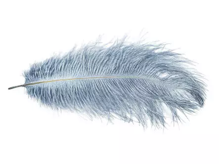 PLUME DAUTRUCHE (OSTRICH HERL) V2 hotfly - 1 pcs. - 25/30 cm