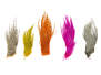 GRIZZLY GENETIC HACKLES MINIPATCH hotfly