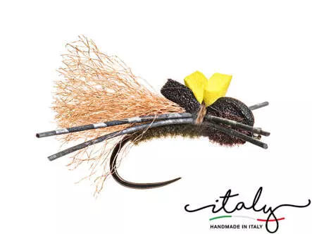 Sauterelle Patineuse V5