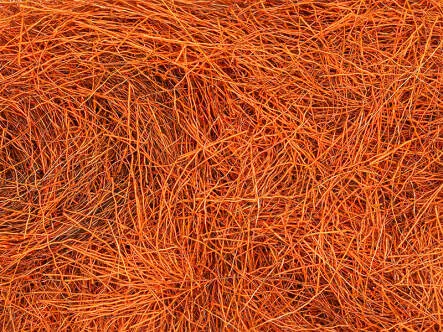 ELK HAIR DUBBING DYED made in italy hotfly - 1 g