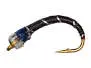 Gambe Ligne Corégone CLASSIC MIX 2 BEAD 12