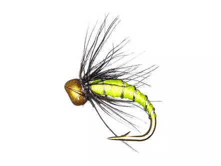 Gambe Ligne Truite BRIGHT MIX 1