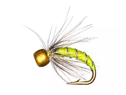 Gambe Ligne Truite BRIGHT MIX 2