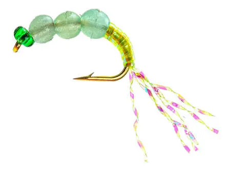 Gambe Alose feinte SUPERBEAD 4
